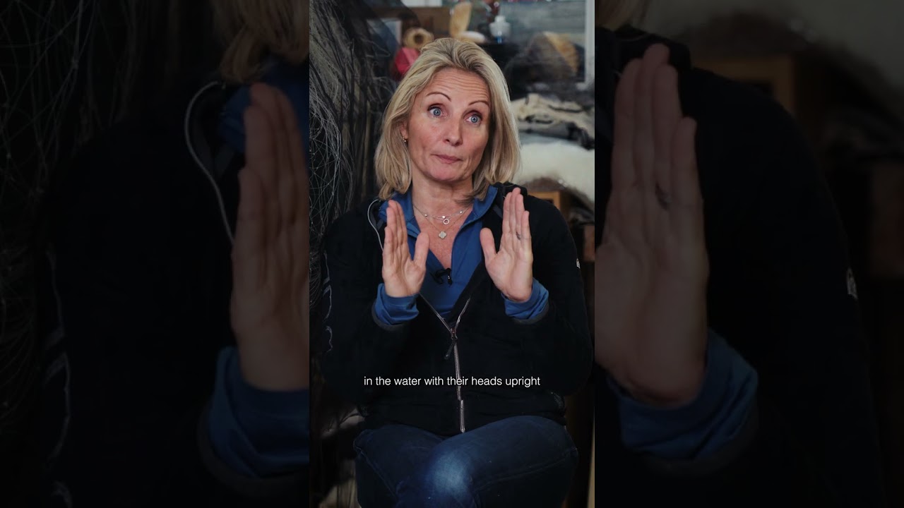 MAKING INTRODUCTIONS: Tessa Campbell Fraser (Part 1)