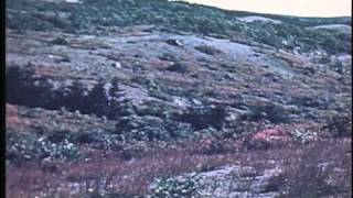 Preview - Deepism Podcast Feb10 2011