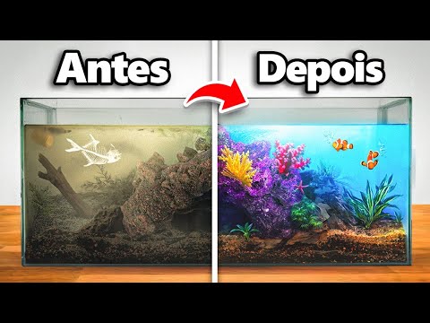Transformando um Aquário Abandonado (com peixes)
