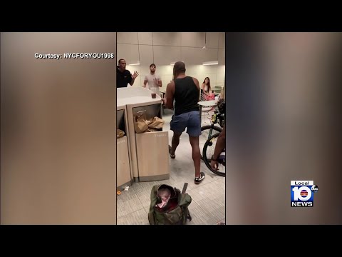 McDonald's brawl in NYC caught on camera