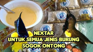 Download lagu cara buat nextar untuk semua jenis burung sogok ontong mp3 Download lagu cara buat nextar untuk semua jenis burung sogok ontong mp3