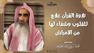 تلاوة القرآن علاج للقلوب وشفاء لها من الأمراض image