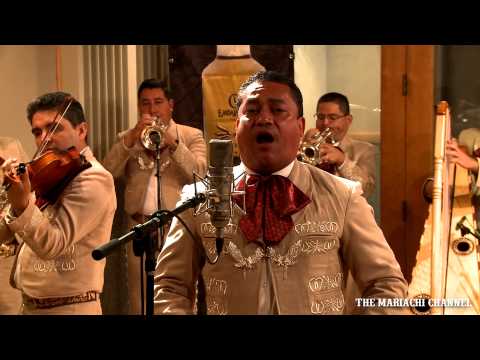 FALLASTE CORAZON | MARIACHI NUEVO TECALITLAN | VIDEO OFICIAL