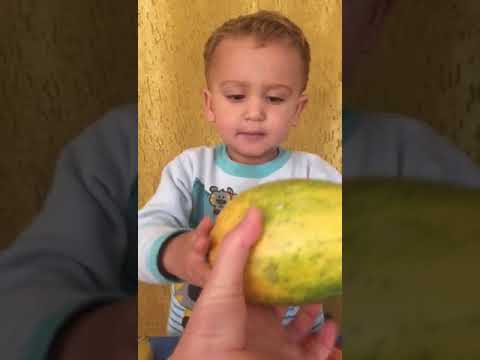VIDEO GUSTAVO FALANDO CORES E TAMANHO DAS FRUTAS