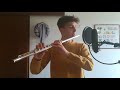Firework FLUTE COVER