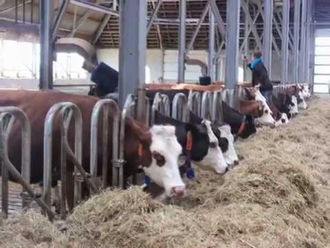 Kloosterboerderij Toertocht - 22 juni 2014