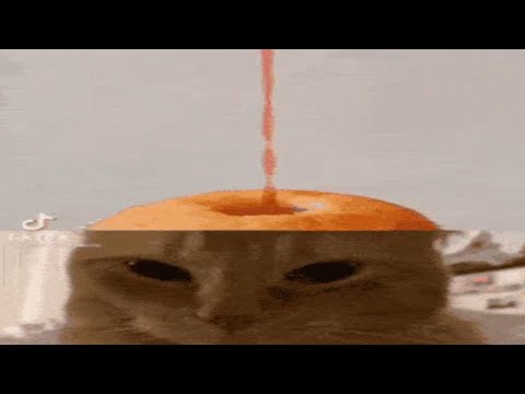 gifs if they had sound: