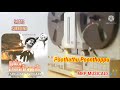 Poothathu Poonthoppu Thangamanasukaran 5 1 Audio