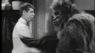 Bela Lugosi Meets a Brooklyn Gorilla (1952) Video