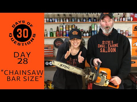 Can I Put A LONGER Bar On My Chain Saw? (DAY 28)