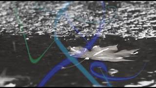 Music For Wholeness - Daniel Thornton