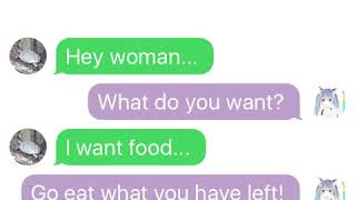 Texting with Dude the Turtle #1