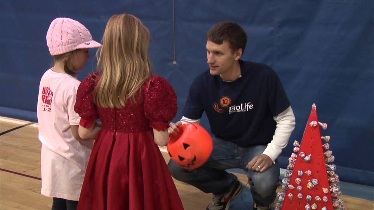 Mounds View Fall Family Fun Festival 2012