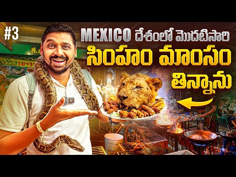 Exotic Animals Street Food | Lion 🦁 Tacos 🌮 | Mexico 🇲🇽 | Uma Telugu Traveller