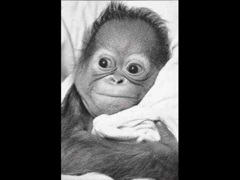 Alubusu -  Bwela Panyumba