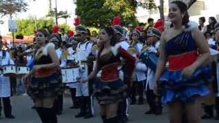 preview picture of video 'Desfile de 11 de setembro de 2013 - Salesiano Carpina'