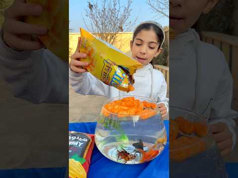 أطعمت السمك جبس 😱 وصدمة الدكتور #2