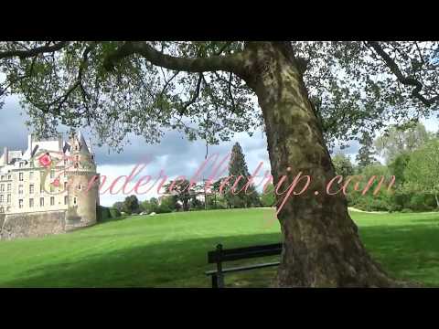 アンジュー公国の紋章 (現代).svg