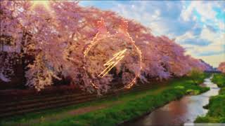 Vanillaz - Night Drive (feat. Lilianna Wilde)