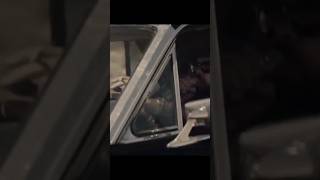 Linus Young - City Of Sin.         #music #cityofsin