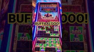 LOW ROLLIN BUFFALO ULTIMATE STAMPEDE FOR A BIG WIN!🦬🦬🦬 #shorts #bigwin #resortsworldlasvegas #casino
