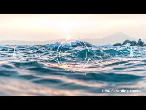 Still Here Fighting (LeForce Remix) - Sture Zetterberg [1 HOUR VERSION]