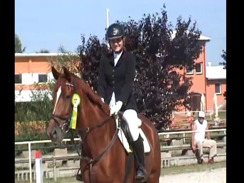 ZR-B Olsza LL-ka zwykła