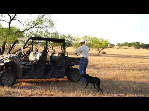 download lagu mp3 mp4 Land For Sale In Crawford Tx, download lagu Land For Sale In Crawford Tx gratis, unduh video klip Land For Sale In Crawford Tx