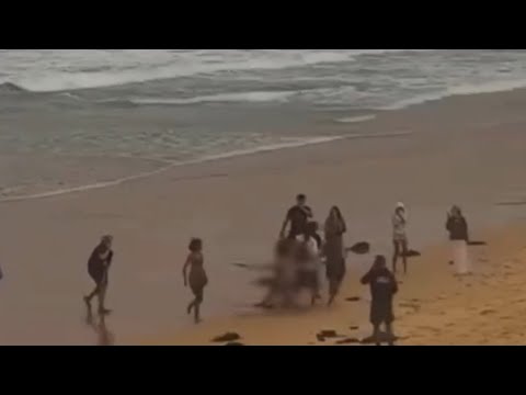 Fourth shark attack in three days rocks New South Wales