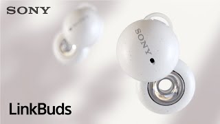 Sony LinkBuds WF-L900