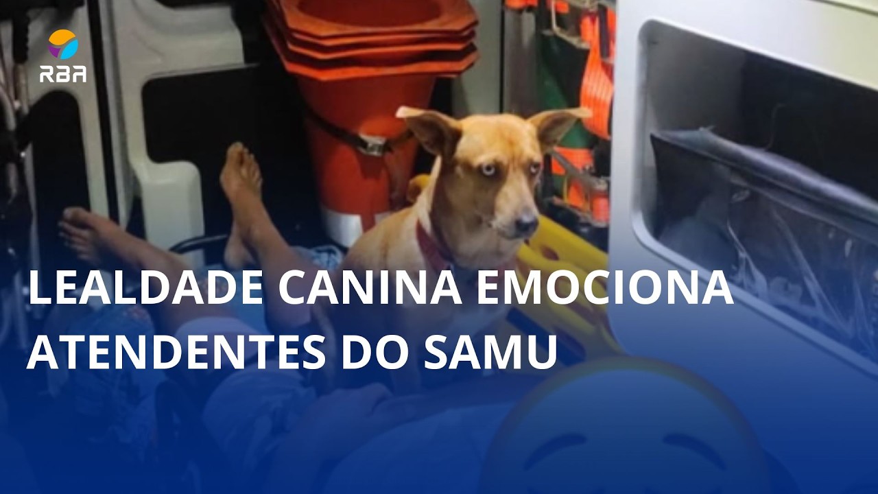 Lealdade canina emociona atendentes do SAMU 🐶🐾