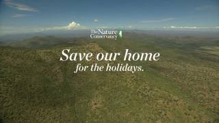 Save Our Home for the Holidays