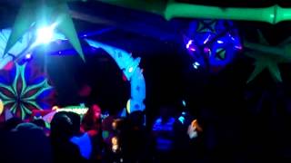 Psychosonic @tribe of frog  (march 2013)