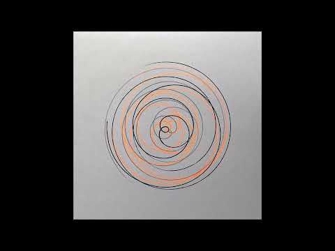 Polygonia - Vespula Pensylvanica [ARA009]