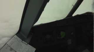 Vogelschlag (Bird Strike) im Flugzeug - Cockpit View - Notlandung