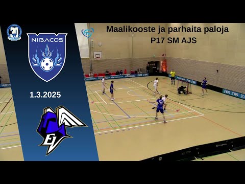 Maalikooste: P17 SM AJS Nibacos -  ErVi 1.3.2025