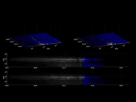 [Free sound effect] Crowds | Wild Battle Crowd Approach