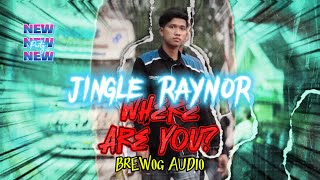 Download lagu JINGLE RAYNOR SQUAD X BREWOG AUDIO DJ MUNG BISO NYAWANG mp3