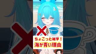 【ちょこっと雑学！】04.海が青い理由！　#shorts #バーチャル警備員ムーさん #VRChat #vtuber