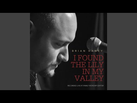 Nothing but Praise (Live)