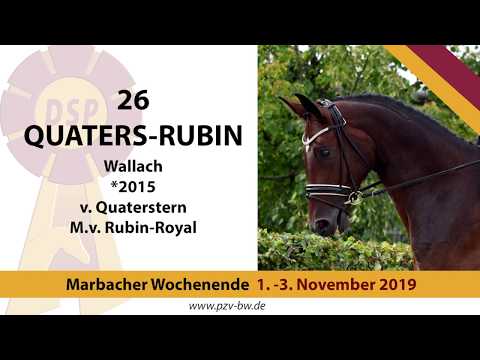 26 Quaters-Rubin v. Quaterstern - Rubin-Royal