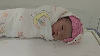 អូនពេជ្រមរកតកើតថ្ងៃទី១០ ខែ ធ្នូ ឆ្នាំ ២០២៣ វេលាម៉ោង១២ និង៣០ នាទីថ្ងៃត្រង់