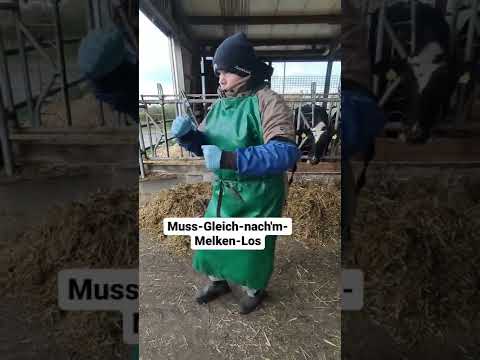 wer seid ihr?? ☺️#landwirtschaft #uckermark #bäuerin