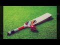Missing Cricket WhatsApp Status Part 3 Shiv K