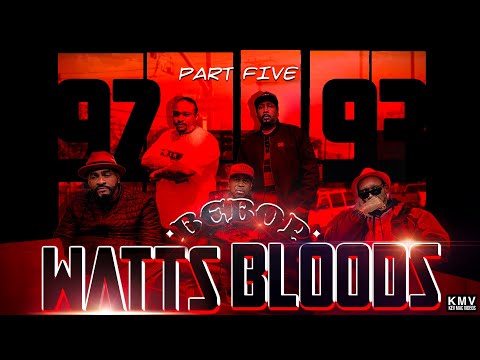 K.M.V. 3.9.5 - Kool 93 92 Bebop Watts Bloods Final Segment call for Peace