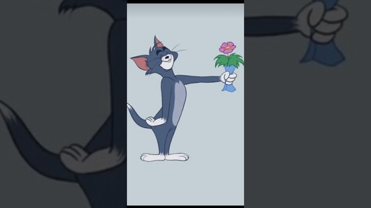 4K Ultra HD Wallpapers For Tom&Jerry Lovers|Tom Wallpapers|HD Wallpapers|Jerry Wallpapers