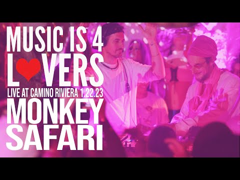 Monkey Safari Live at Music is 4 Lovers [2023-01-22 @ Camino Riviera, San Diego] [MI4L.com]