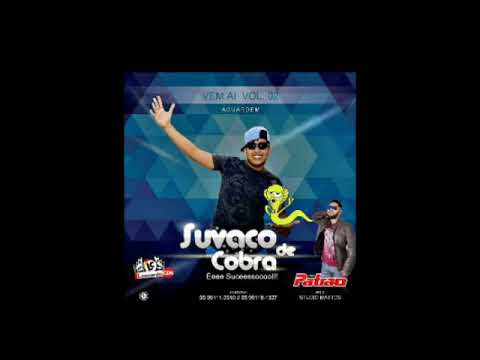 FORROZO SUVACO DE COBRA PREVIA DO CD VOL-2