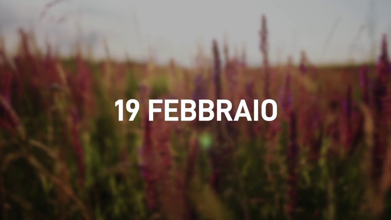 19 Febbraio 2025 | Meditazione Parole di Vita