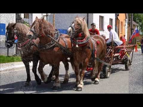 PRIŠOV JEM TY, PRIŠOV -  Štefan LUKACKO i Jan KARAFA